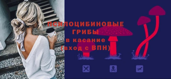 ПСИЛОЦИБИНОВЫЕ ГРИБЫ Аркадак